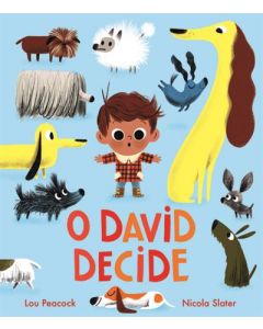 O David decide