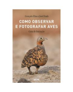 Como observar e fotografar aves