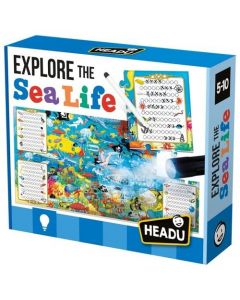 Explore the Sea Life