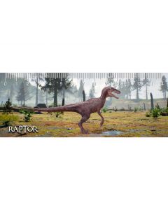 Régua - Raptor