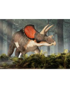Postal 3D - Triceratops