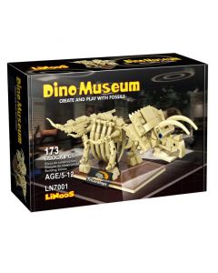 Dino Museum - Triceratops