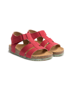 FISH Red - Tam. 31