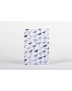 Caderno A5 - Aves Limícolas