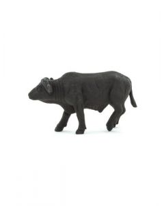 Bufalo Africano