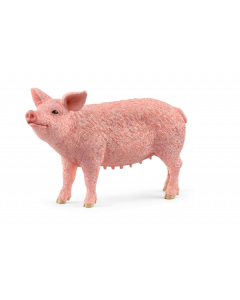 Porca