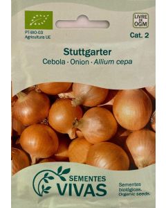 Sementes de Cebola Stuttgarter