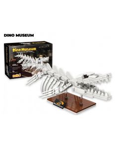 Dino Museum - Mosasaurus
