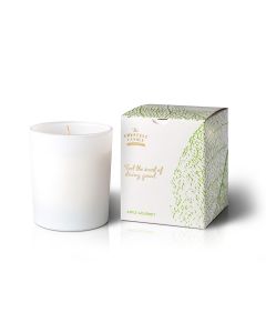 Candle "Glass Infinite" - Apple Gourmet