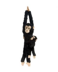 Hanging baby chimpanzee