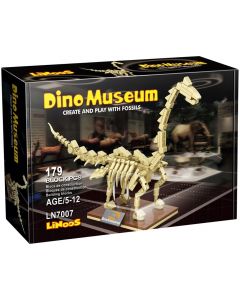 Dino Museum - Brachiosaurus