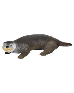 Lontra