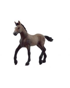 Cavalo Paso Peruano - cria