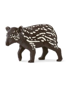 Tapir - Cria