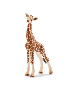 Girafa - Cria