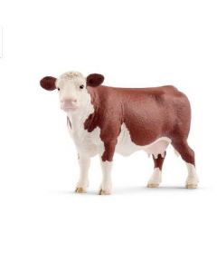 Vaca Hereford